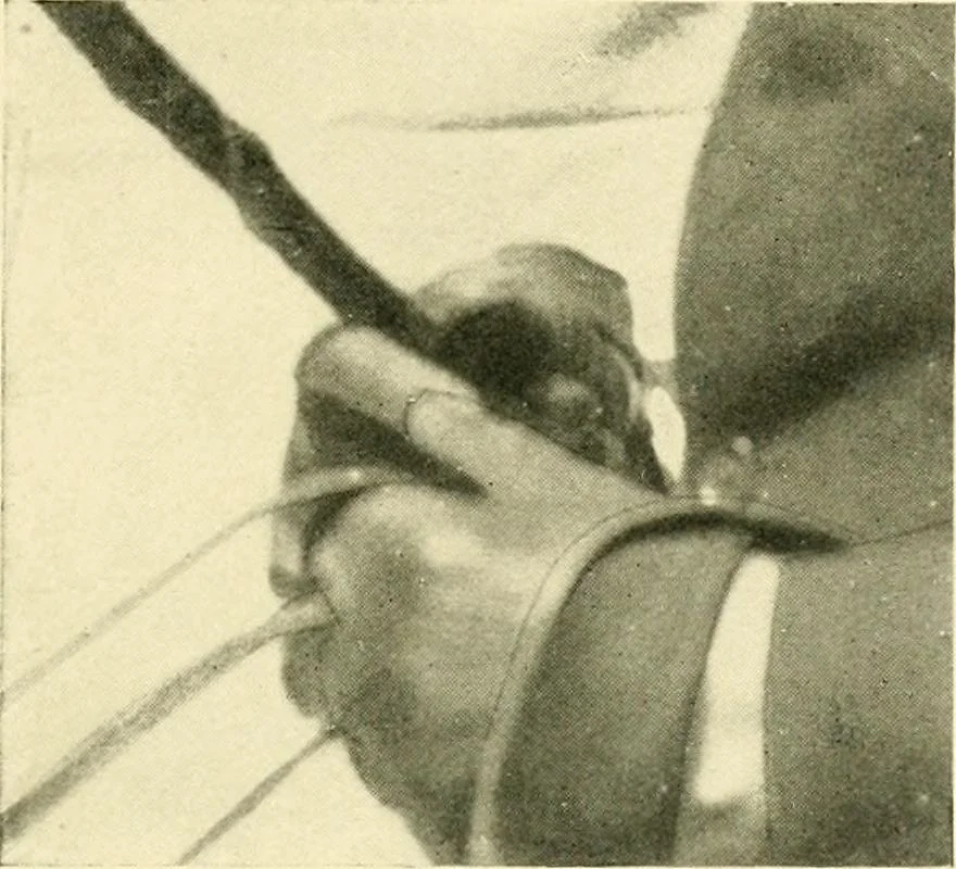An illustration from Driving, 1903, leaf 151