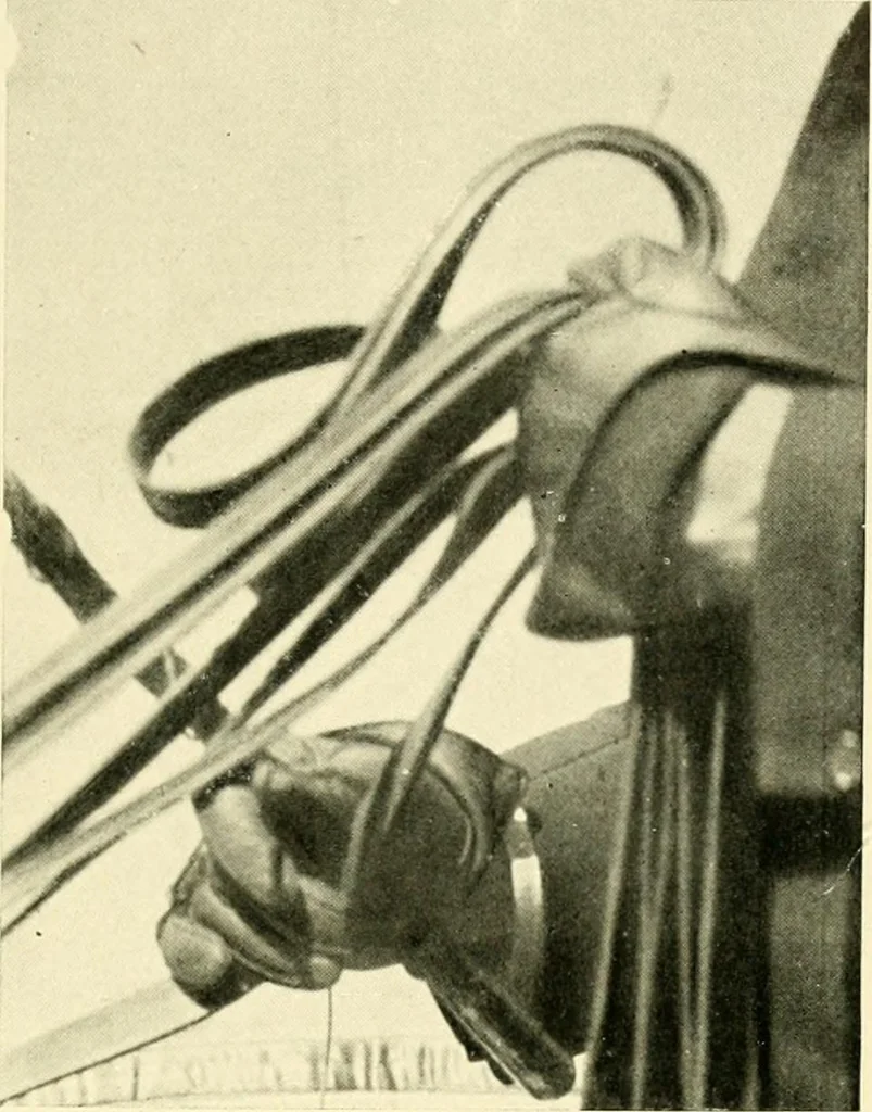 An illustration from Driving, 1903, leaf 155