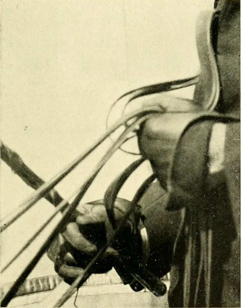 An illustration from Driving, 1903, leaf 155