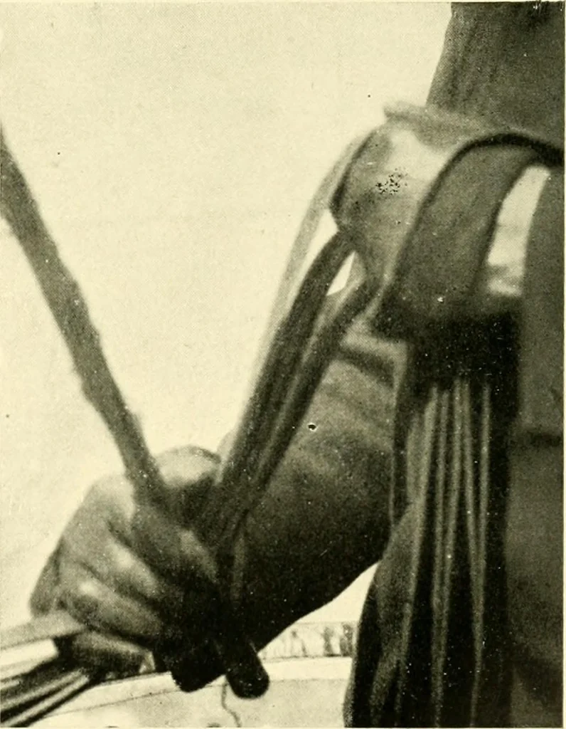An illustration from Driving, 1903, leaf 155