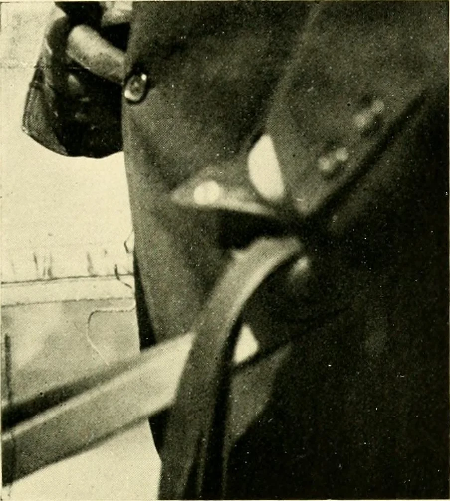 An illustration from Driving, 1903, leaf 159