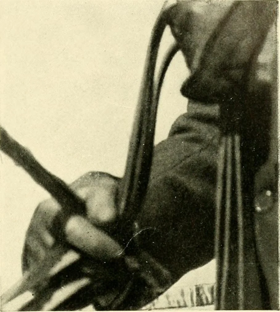 An illustration from Driving, 1903, leaf 159