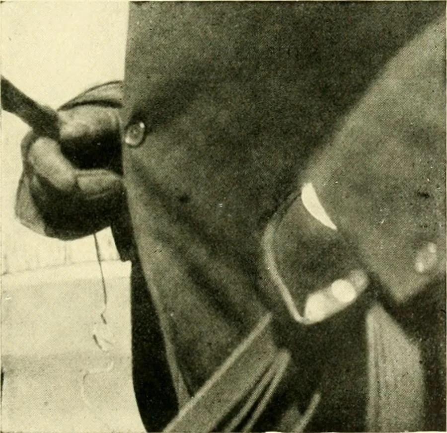An illustration from Driving, 1903, leaf 159