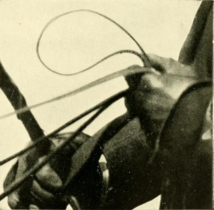 An illustration from Driving, 1903, leaf 159