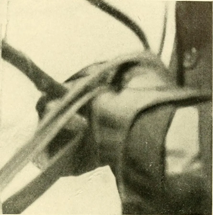 An illustration from Driving, 1903, leaf 163