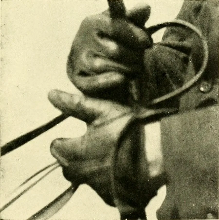 An illustration from Driving, 1903, leaf 163