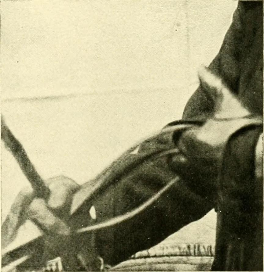 An illustration from Driving, 1903, leaf 163