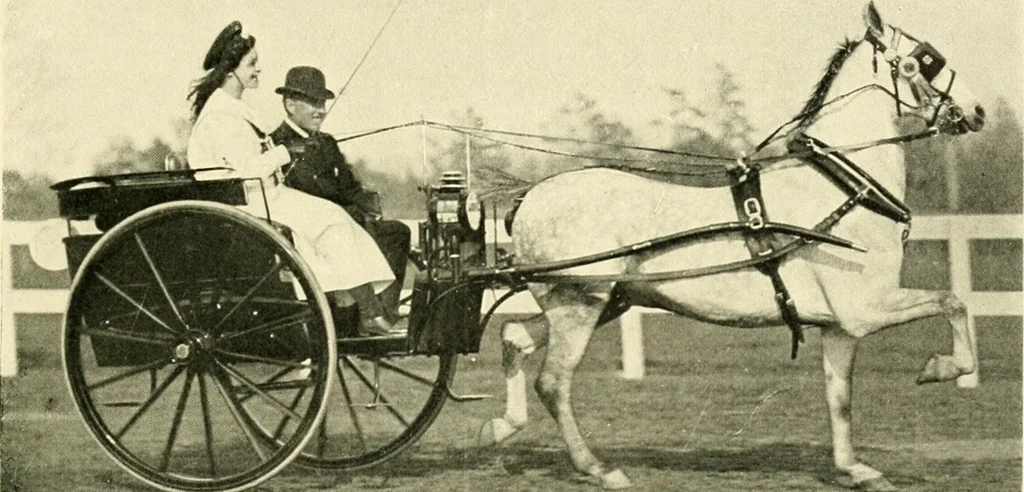 An illustration from Driving, 1903, leaf 167