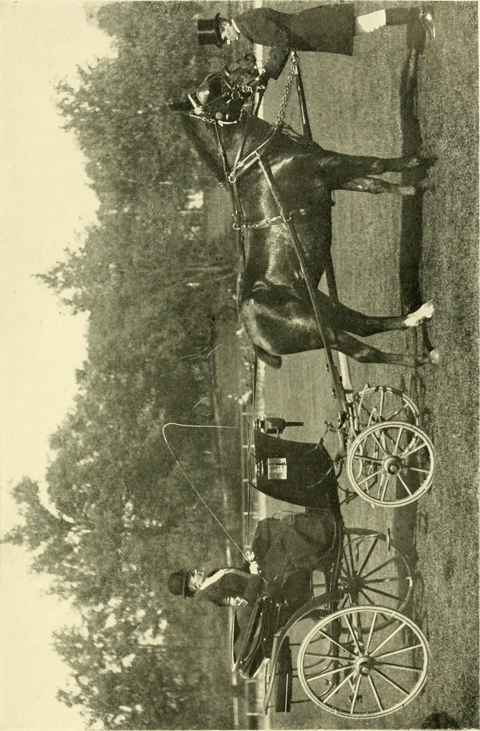 An illustration from Driving, 1903, leaf 171