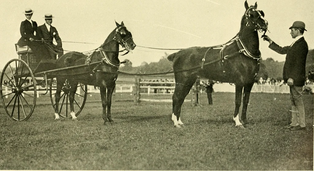 An illustration from Driving, 1903, leaf 175