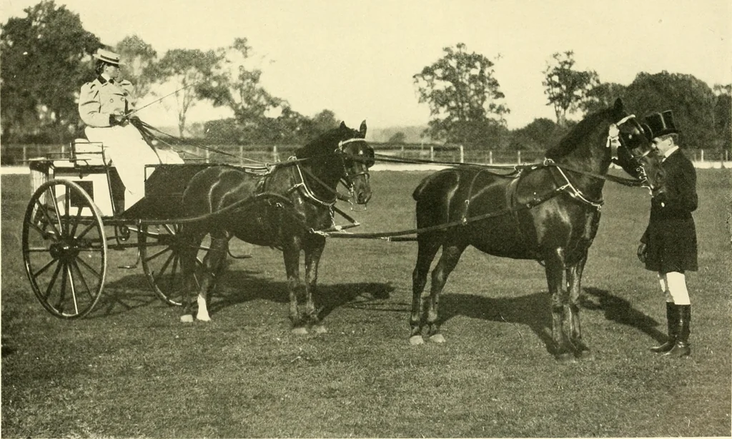 An illustration from Driving, 1903, leaf 181
