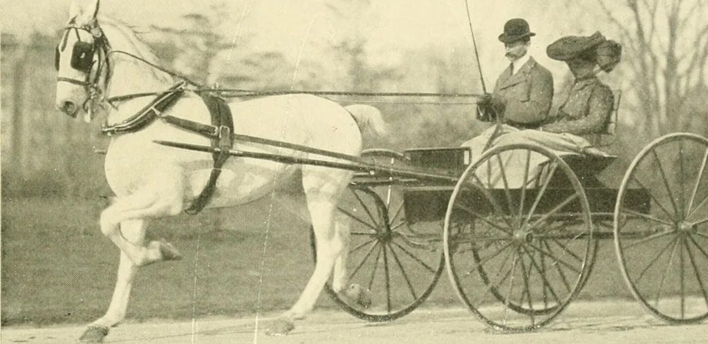 An illustration from Driving, 1903, leaf 195