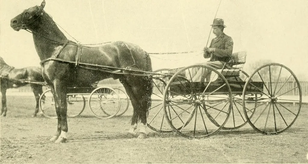 An illustration from Driving, 1903, leaf 195