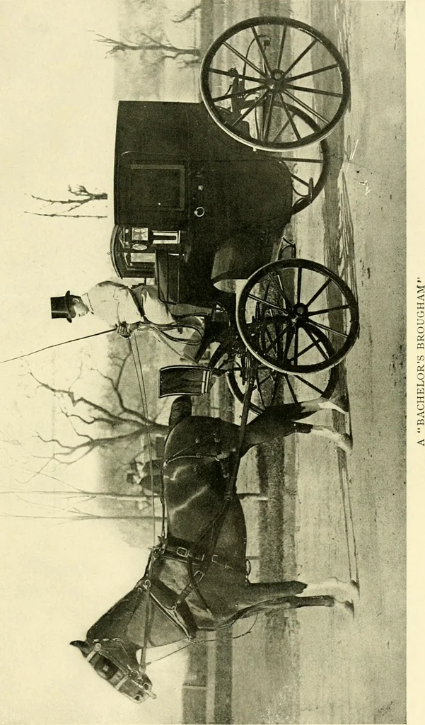 An illustration from Driving, 1903, leaf 203