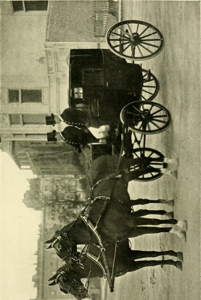 An illustration from Driving, 1903, leaf 207