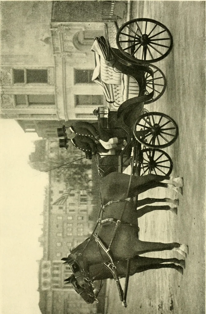 An illustration from Driving, 1903, leaf 211