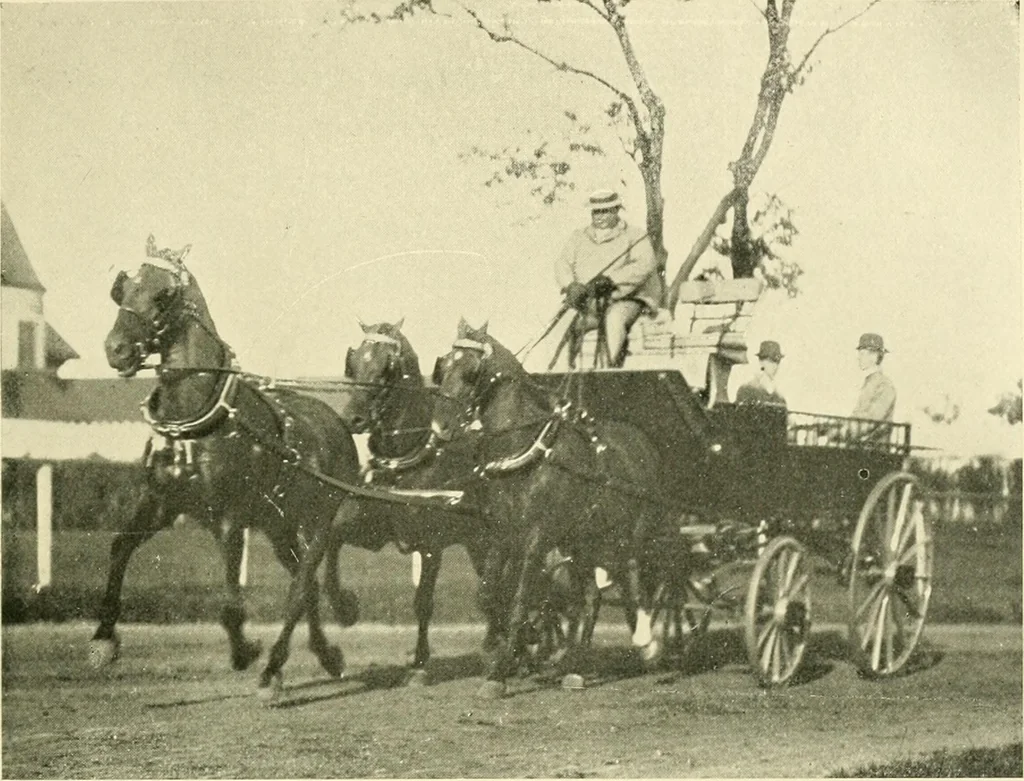 An illustration from Driving, 1903, leaf 215