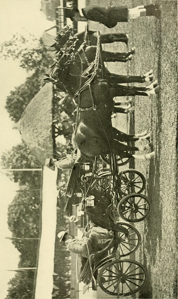 An illustration from Driving, 1903, leaf 219