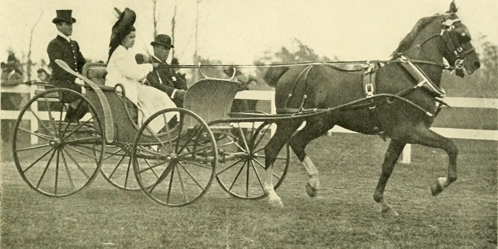 An illustration from Driving, 1903, leaf 223