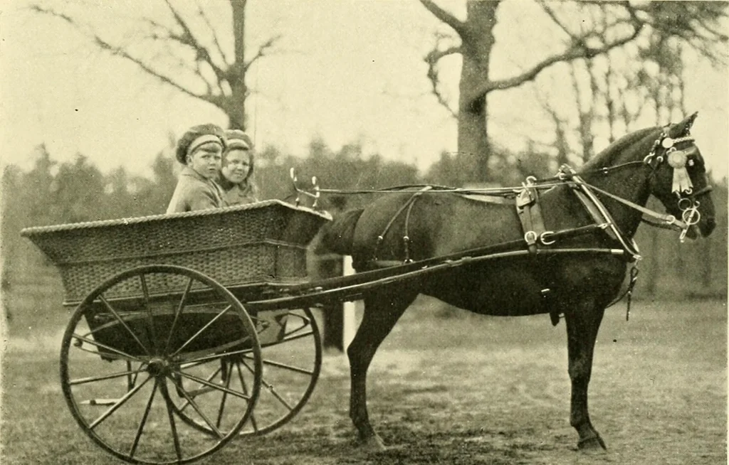 An illustration from Driving, 1903, leaf 223
