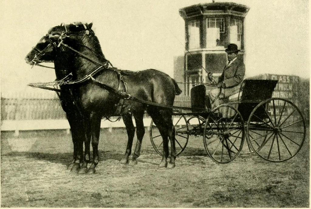 An illustration from Driving, 1903, leaf 227