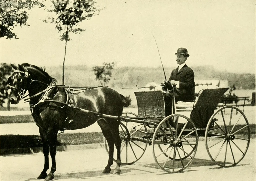 An illustration from Driving, 1903, leaf 227