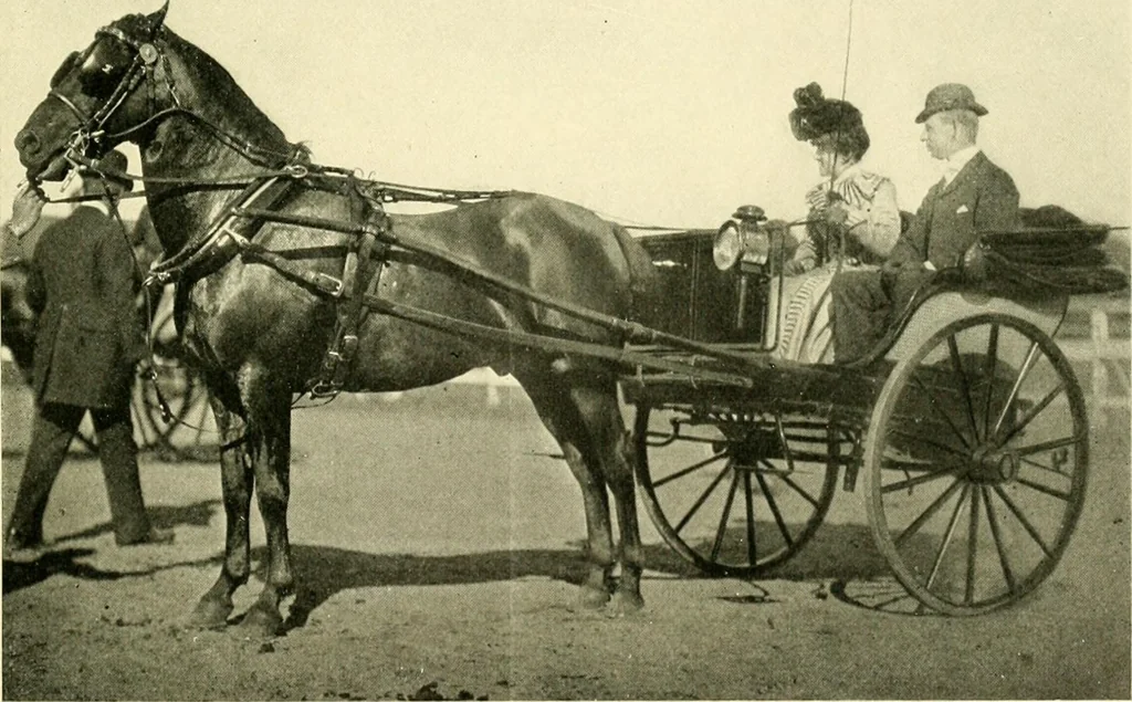 An illustration from Driving, 1903, leaf 231