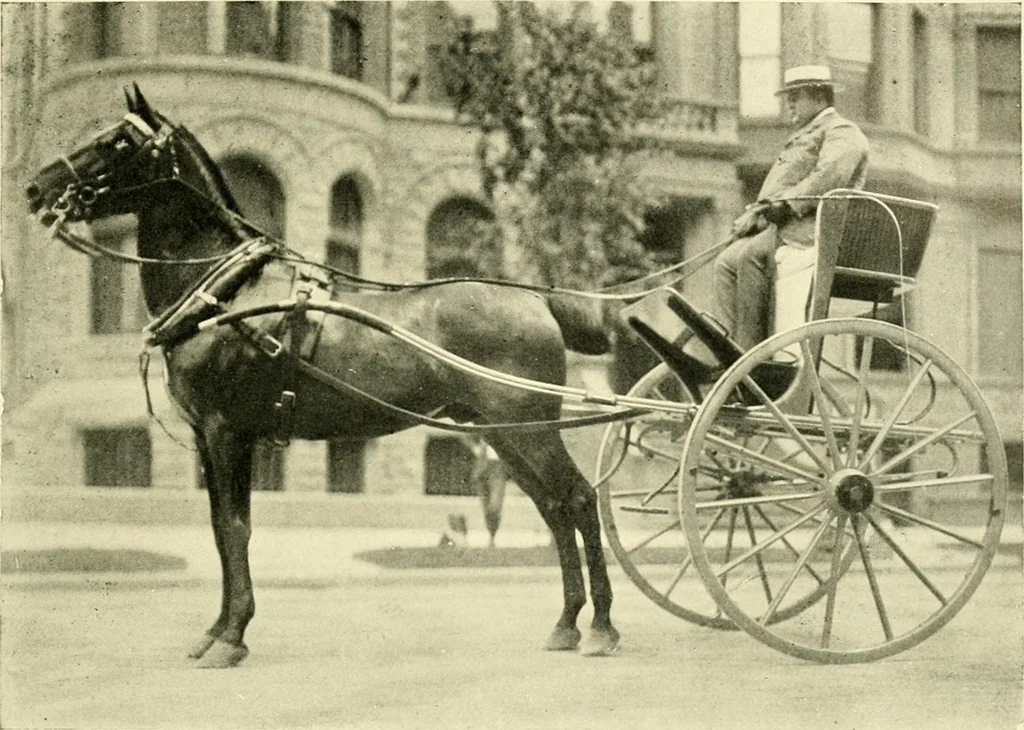An illustration from Driving, 1903, leaf 235