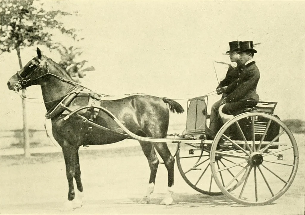 An illustration from Driving, 1903, leaf 235
