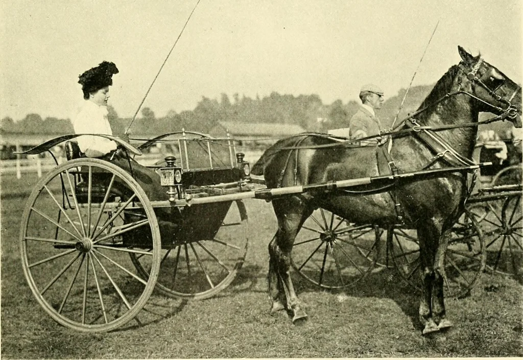 An illustration from Driving, 1903, leaf 239