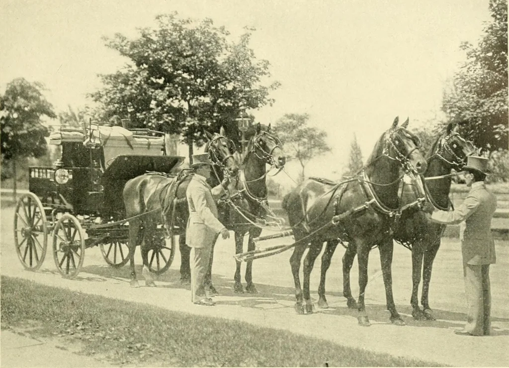 An illustration from Driving, 1903, leaf 243