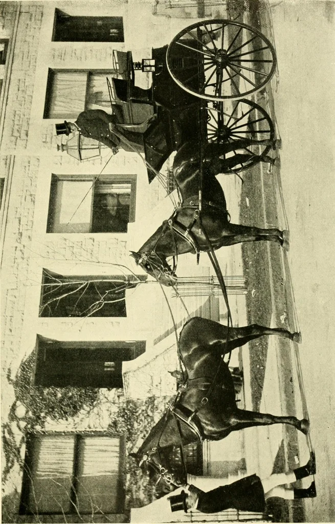An illustration from Driving, 1903, leaf 247