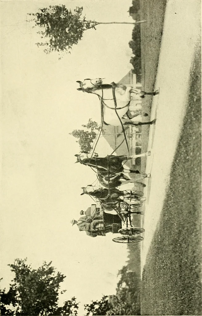 An illustration from Driving, 1903, leaf 251