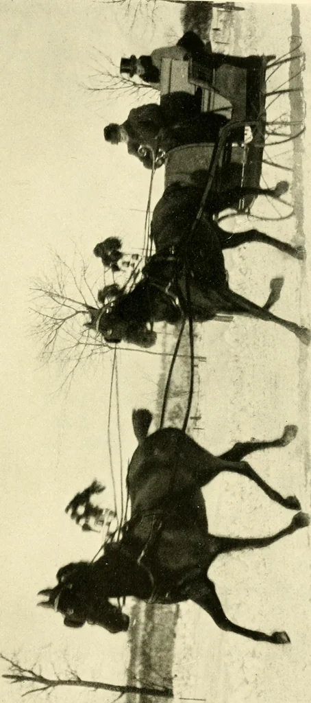 An illustration from Driving, 1903, leaf 255