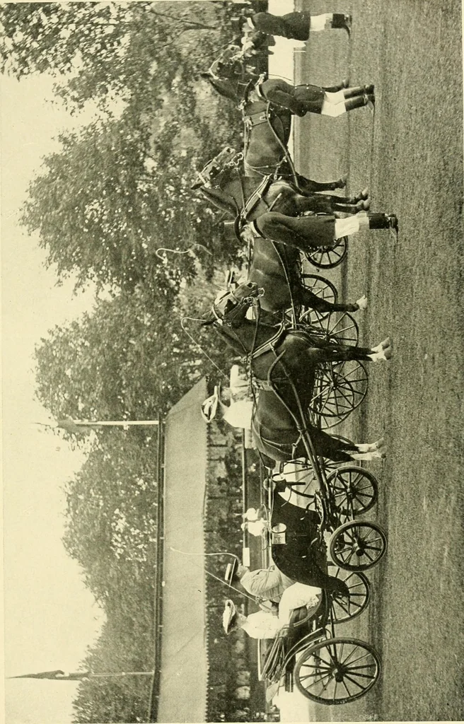 An illustration from Driving, 1903, leaf 313