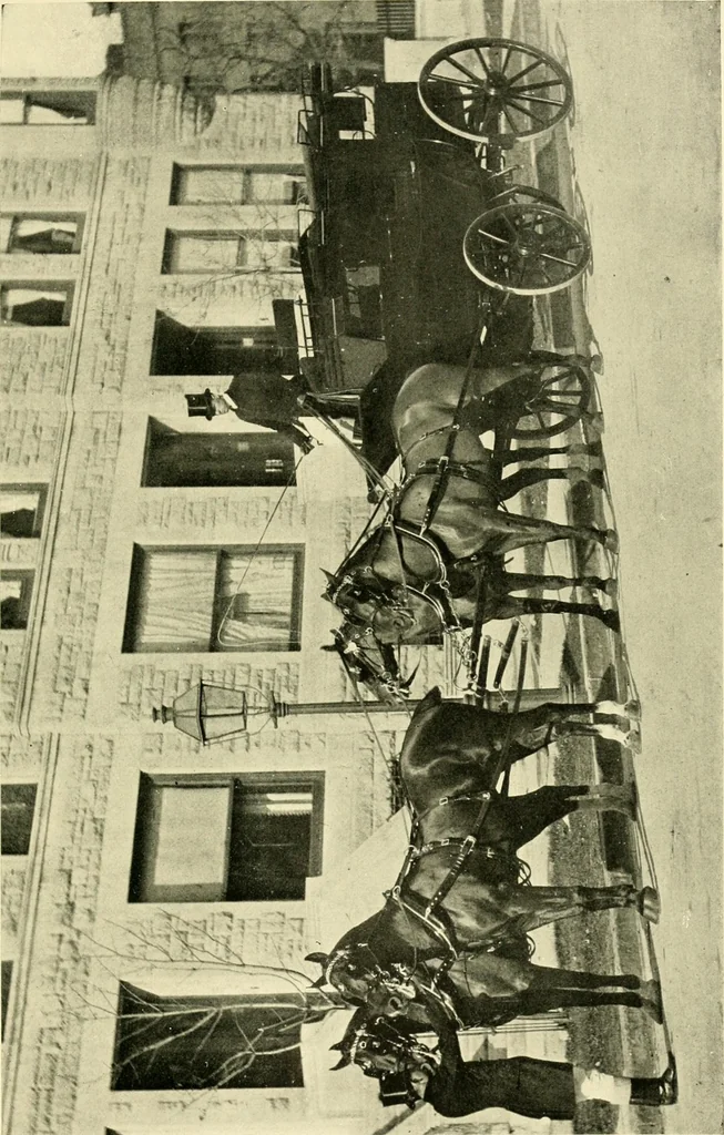 An illustration from Driving, 1903, leaf 329