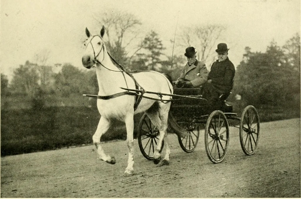 An illustration from Driving, 1903, leaf 377