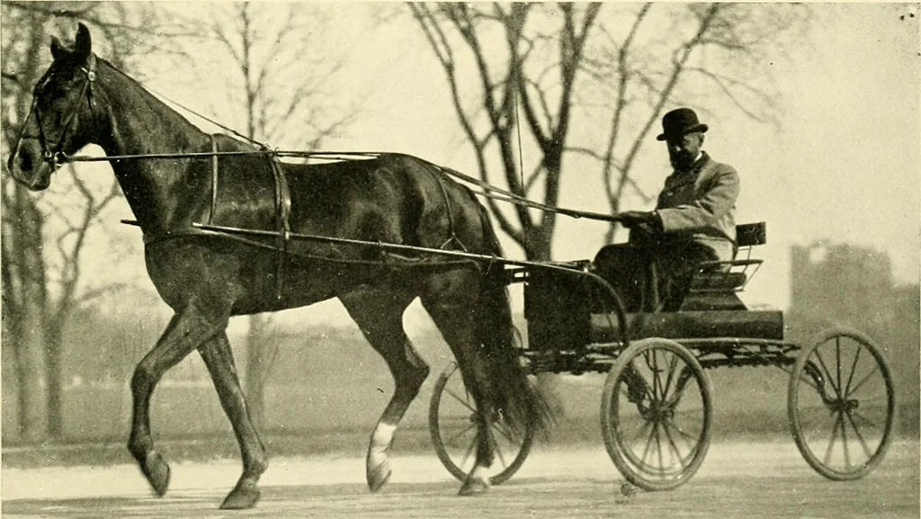 An illustration from Driving, 1903, leaf 377