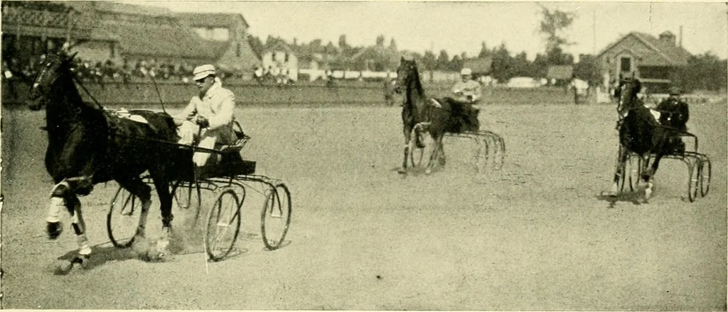 An illustration from Driving, 1903, leaf 391