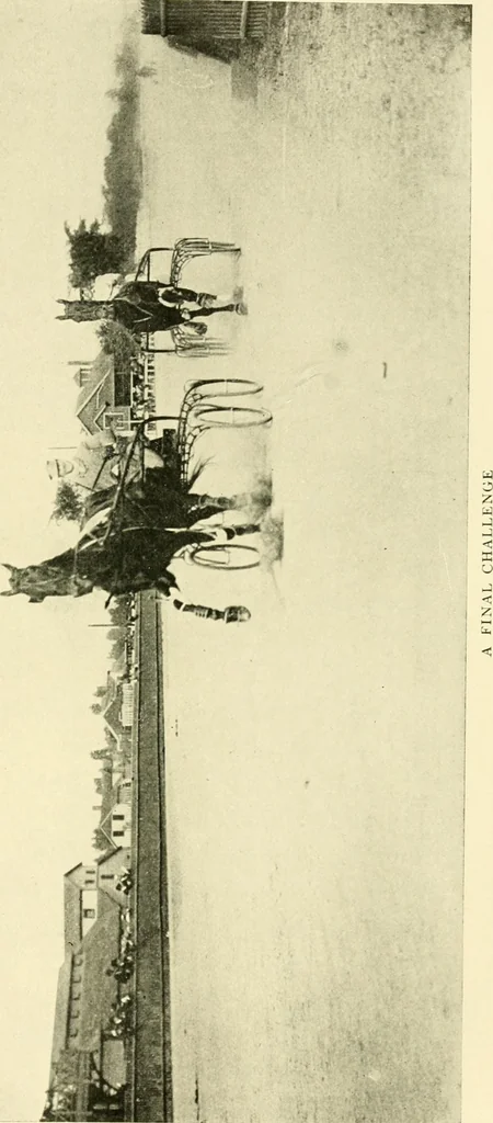 An illustration from Driving, 1903, leaf 401