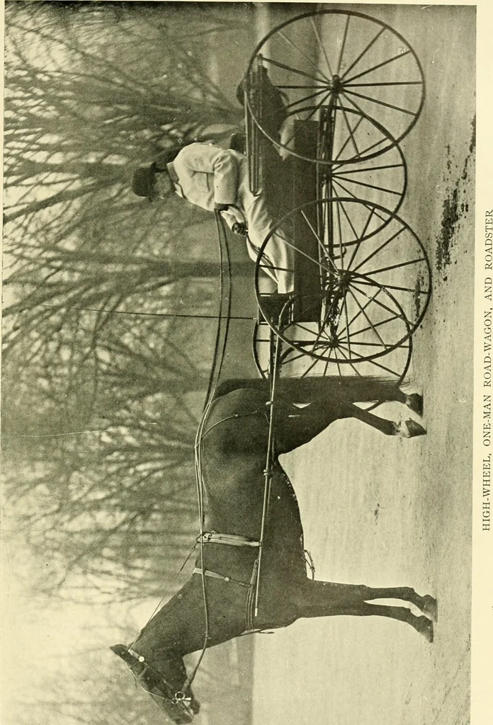 An illustration from Driving, 1903, leaf 421