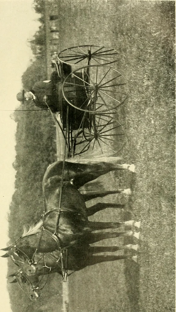An illustration from Driving, 1903, leaf 425
