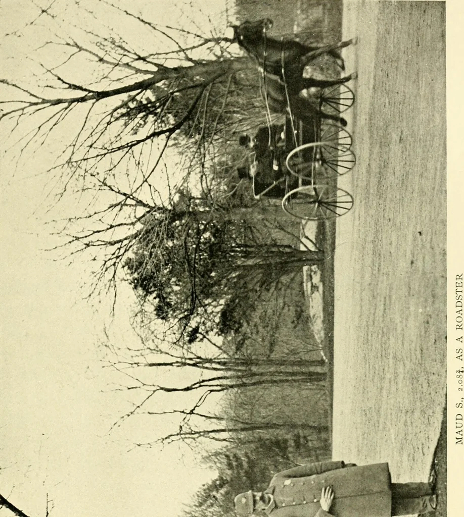 An illustration from Driving, 1903, leaf 429