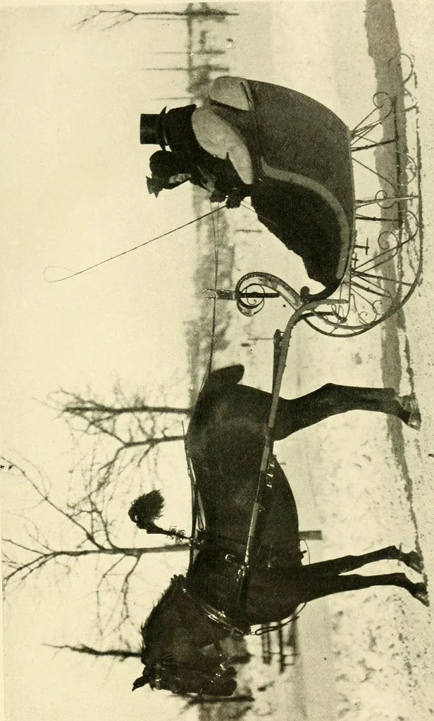 An illustration from Driving, 1903, leaf 433