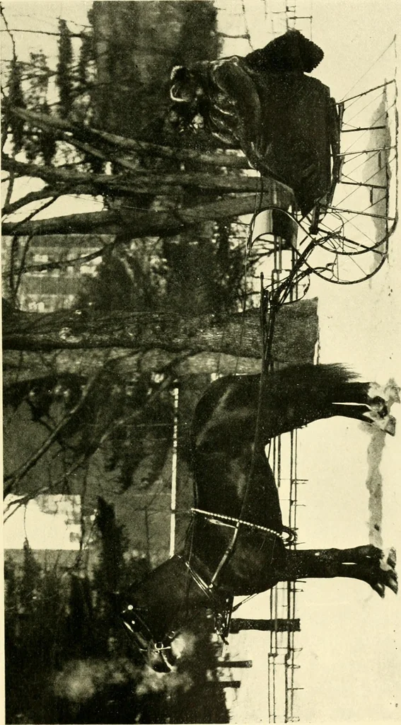 An illustration from Driving, 1903, leaf 437