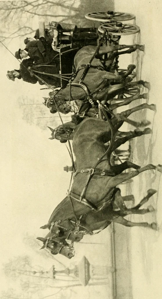 An illustration from Driving, 1903, leaf 6