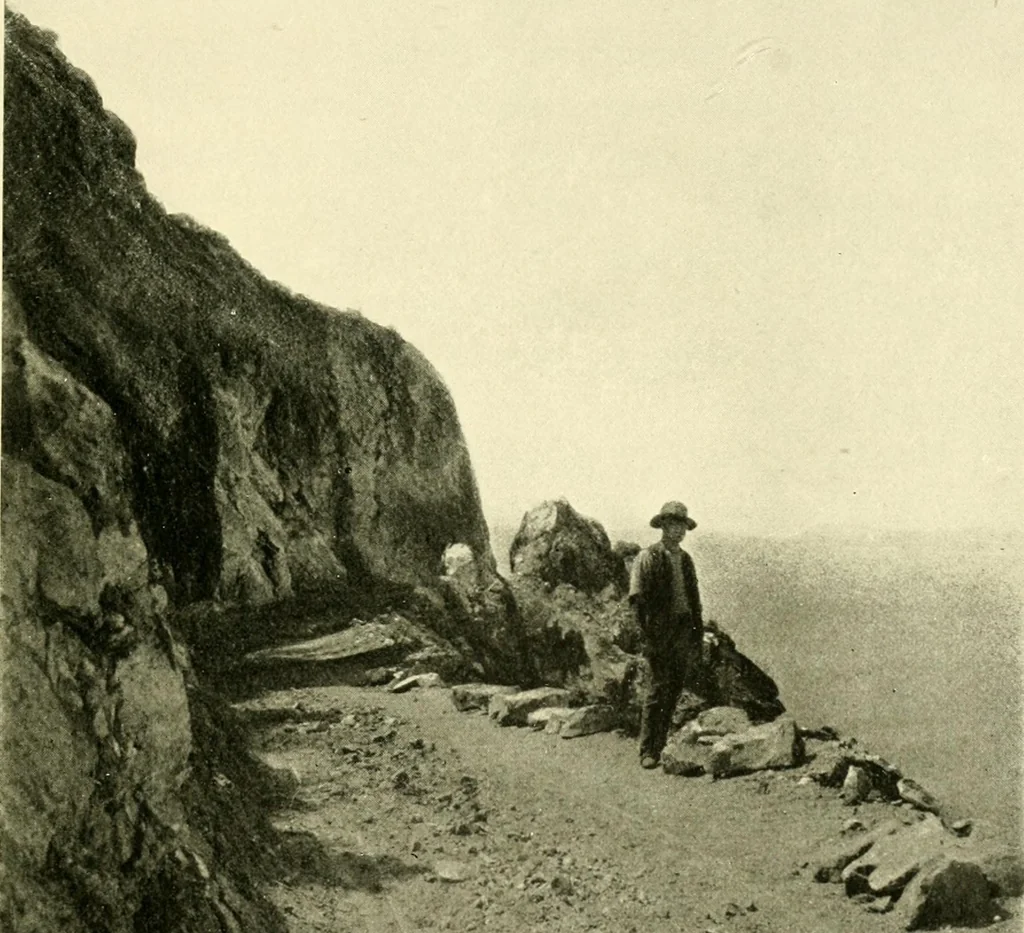 An illustration from Driving, 1903, leaf 63