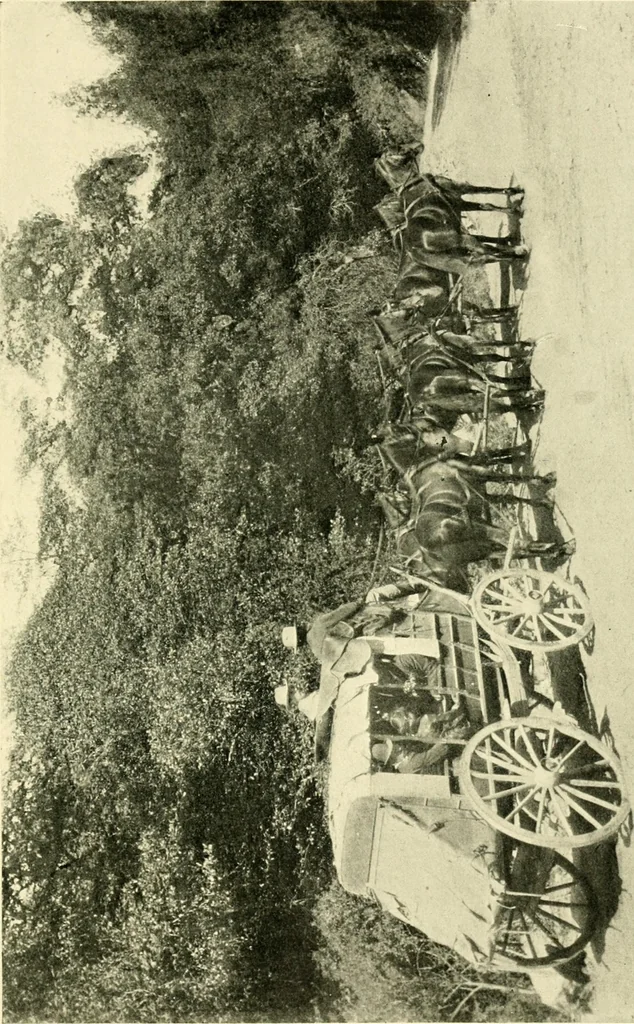 An illustration from Driving, 1903, leaf 67