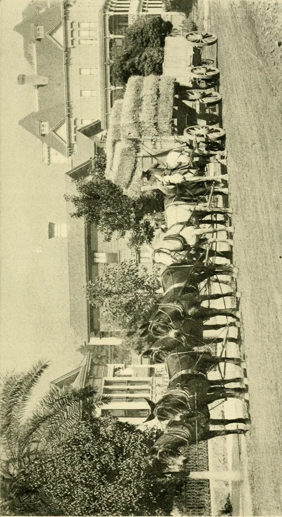 An illustration from Driving, 1903, leaf 71