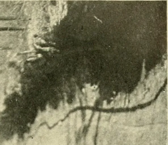 An illustration from Driving, 1903, leaf 89